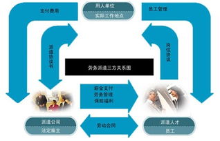 社會(huì)保障事務(wù)代理價(jià)格 社會(huì)保障事務(wù)代理型號(hào)規(guī)格