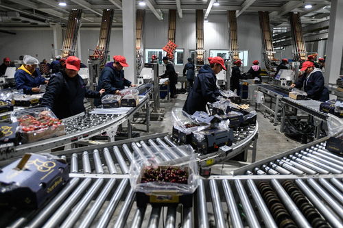 一帶一路故事繪 漂洋過(guò)海的智利車(chē)?yán)遄涌炀€與職業(yè)中介活動(dòng)