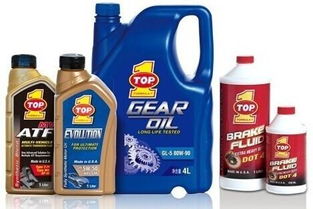 我國主要潤滑油企業(yè)渠道策略研究